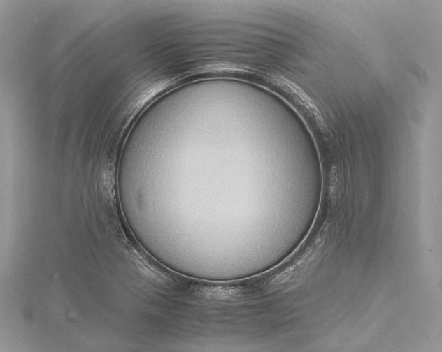 X0000115511321200911201631