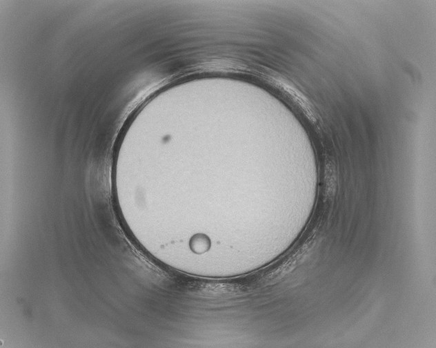 X0000115511322200911201631