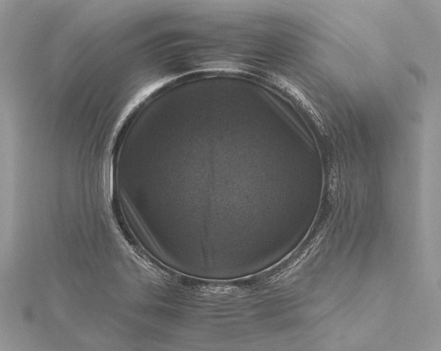 X0000115511323200911201631