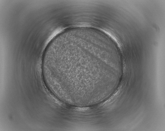 X0000115511325200911201631