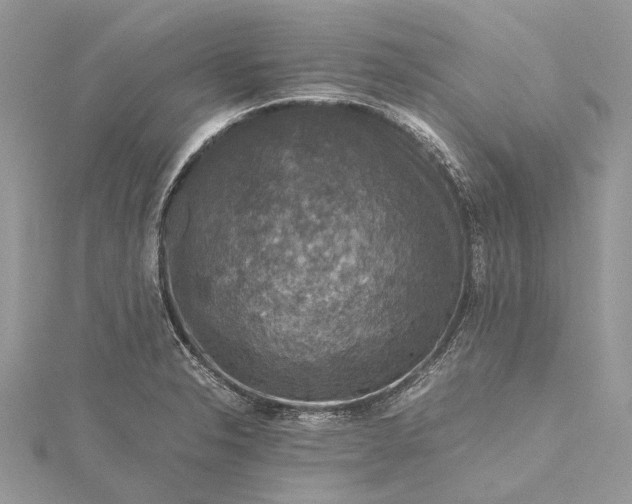 X0000115511326200911201631