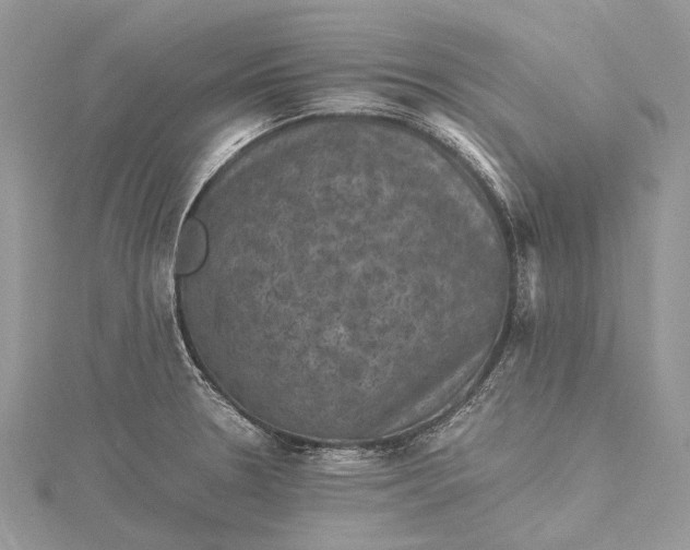 X0000115511330200911201631