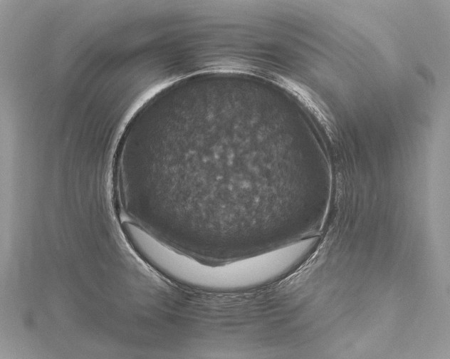 X0000115511331200911201631