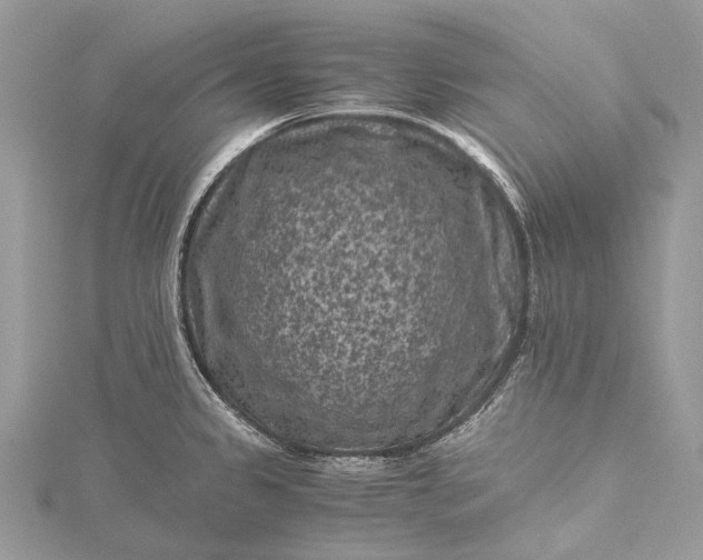 X0000115511333200911201631