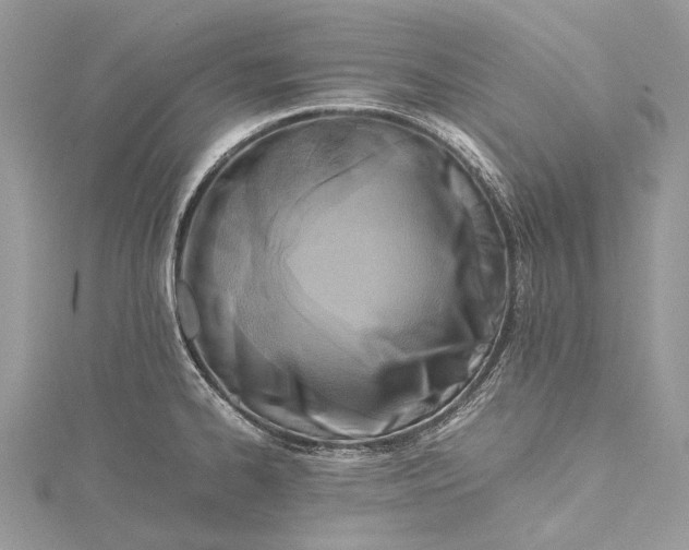 X0000115511334200911201631