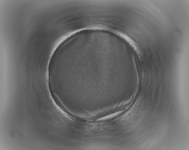 X0000115511335200911201631