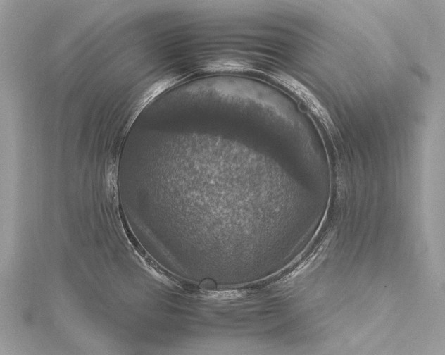 X0000115511337200911201631