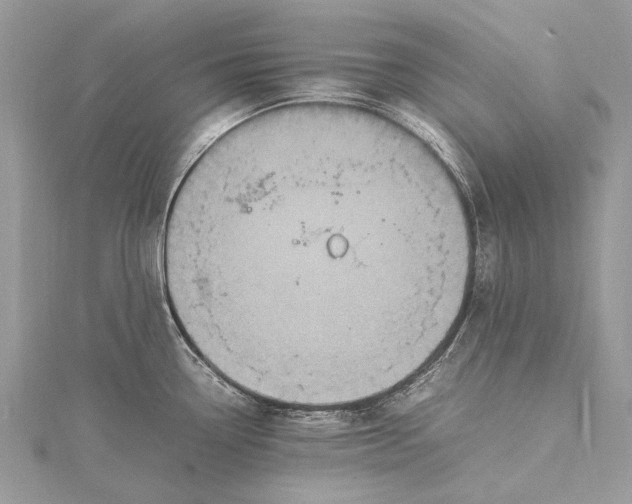 X0000115511338200911201631