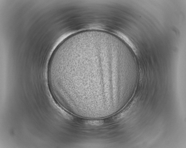 X0000115511339200911201631