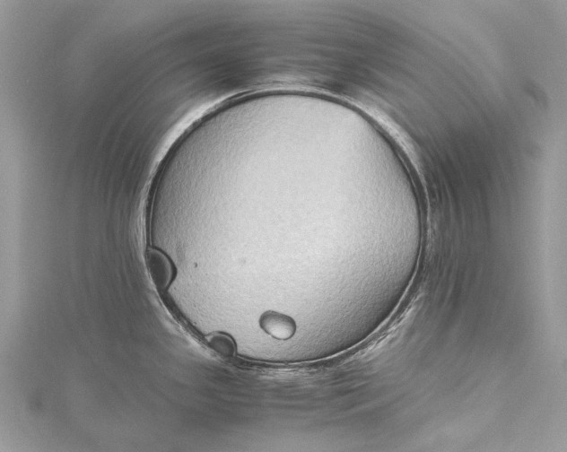 X0000115511341200911201631