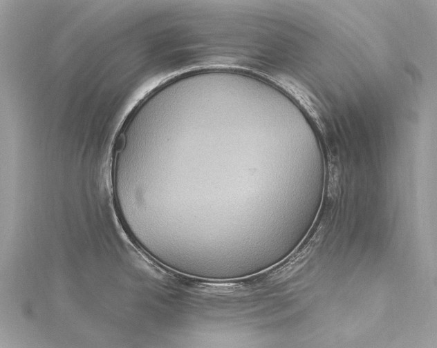 X0000115511342200911201631