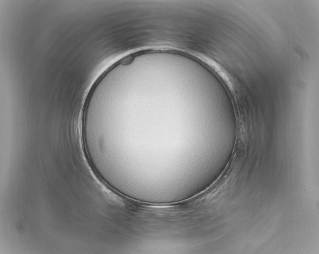 X0000115511343200911201631