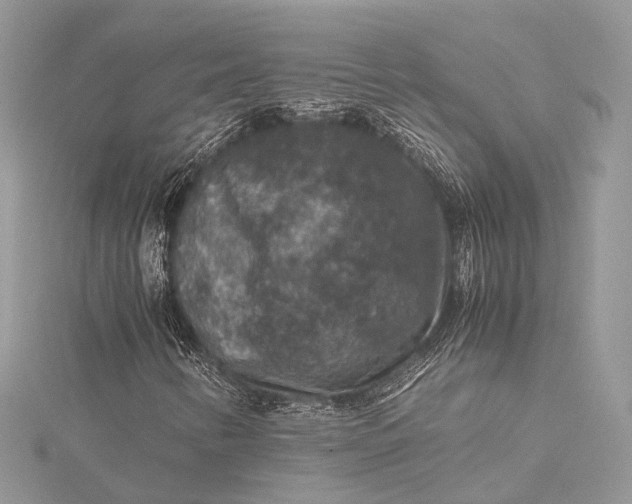 X0000115511346200911201630