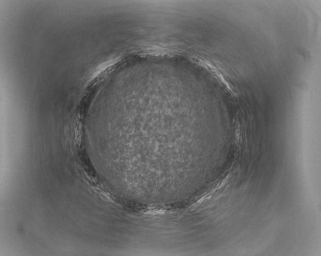 X0000115511350200911201630