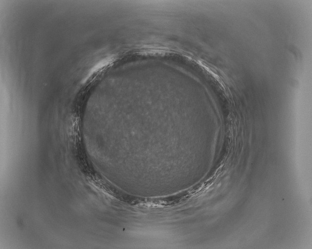 X0000115511351200911201630