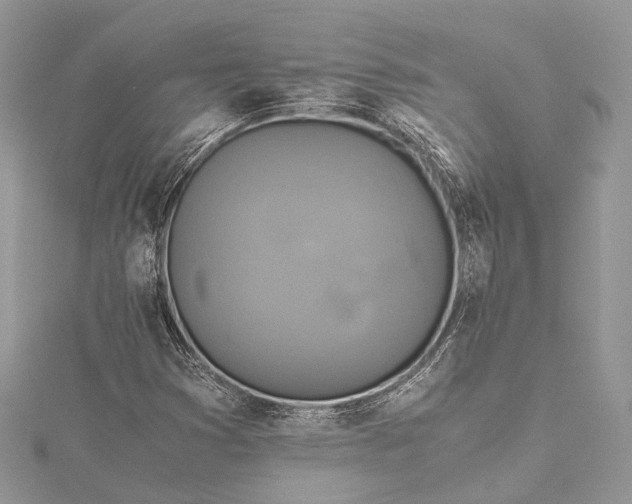 X0000115511353200911201630