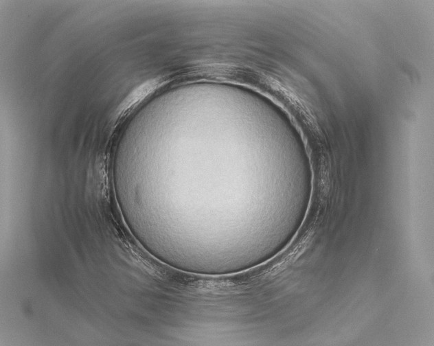 X0000115511354200911201630