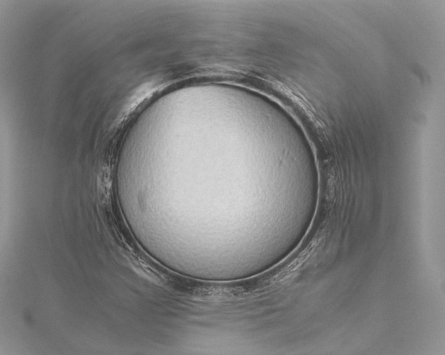 X0000115511355200911201630