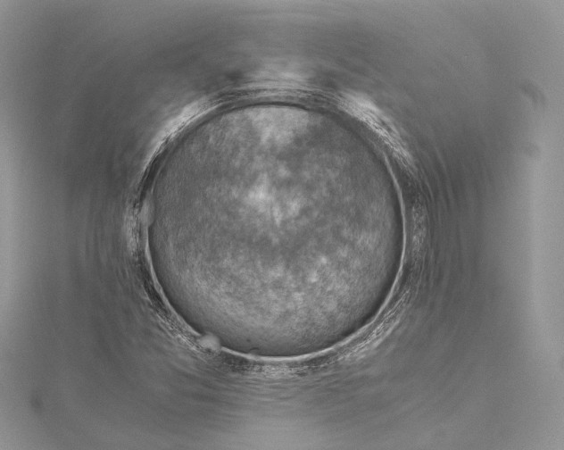 X0000115511357200911201630