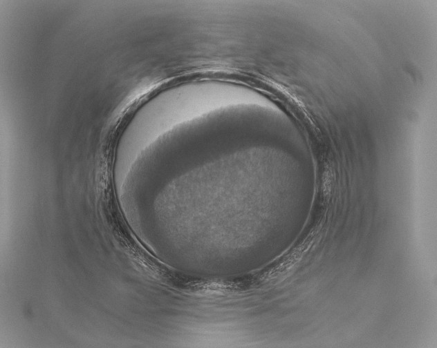 X0000115511359200911201630