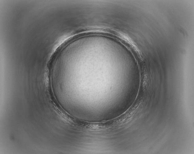 X0000115511360200911201630