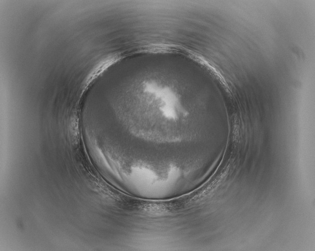 X0000115511362200911201630