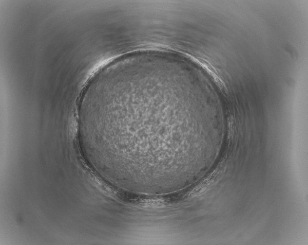 X0000115511363200911201630