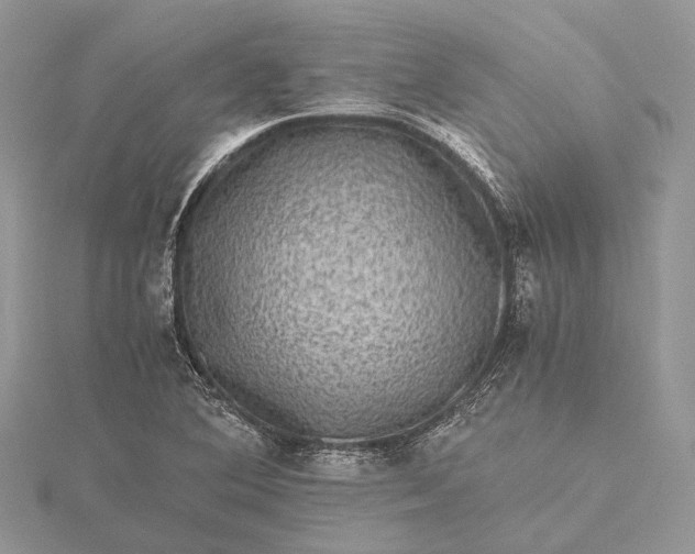 X0000115511364200911201630