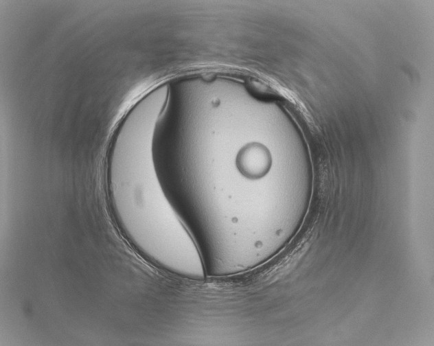 X0000115511365200911201630