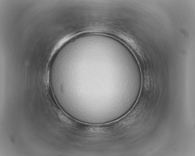 X0000115511366200911201630