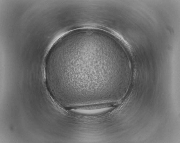 X0000115511368200911201630