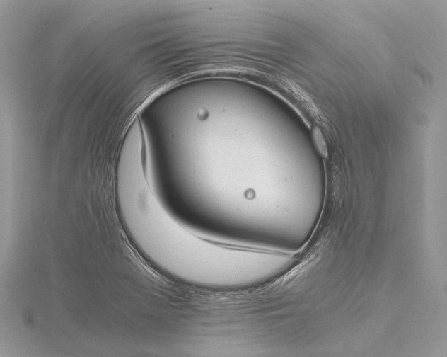 X0000115511369200911201630