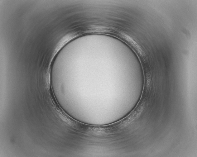 X0000115511370200911201630