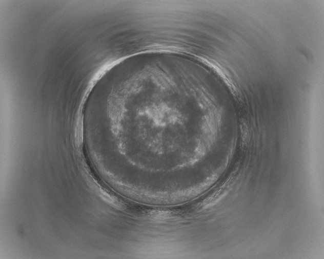 X0000115511371200911201630