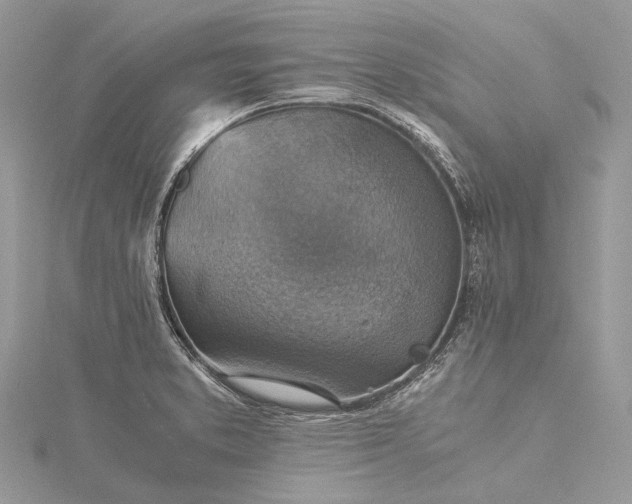 X0000115511373200911201630