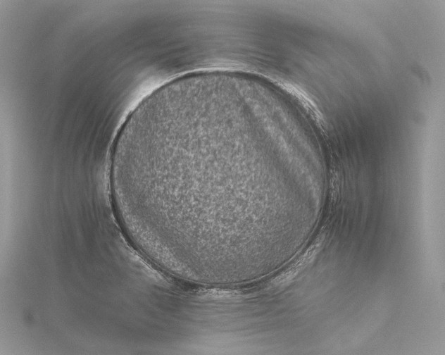 X0000115511374200911201630