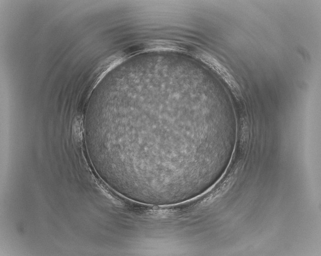 X0000115511377200911201630