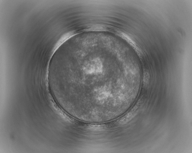 X0000115511378200911201630