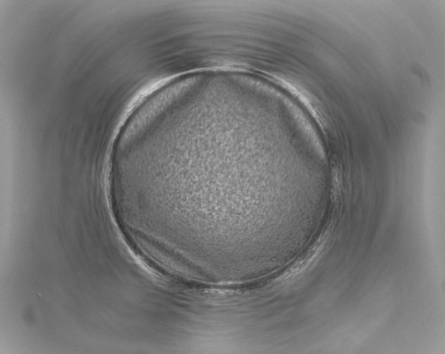 X0000115511379200911201630