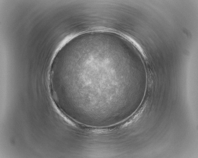 X0000115511381200911201630