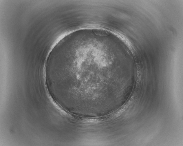 X0000115511382200911201630