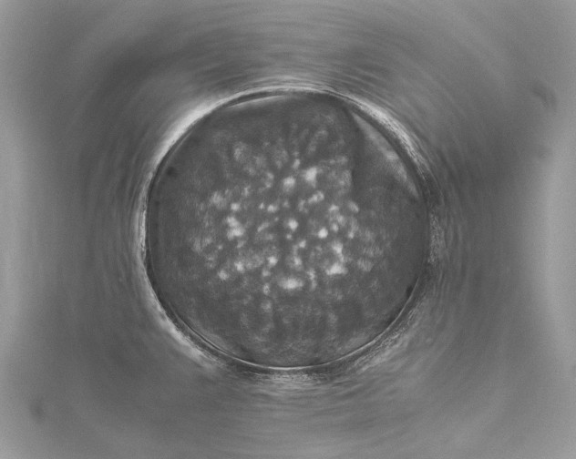 X0000115511383200911201630