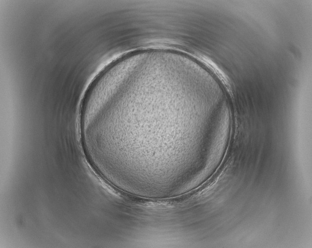 X0000115511384200911201630