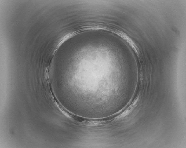 X0000115511385200911201630