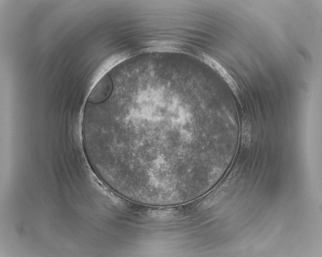 X0000115511386200911201630