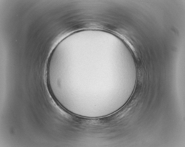 X0000115511387200911201630