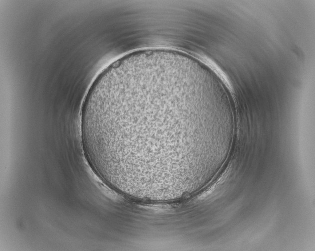 X0000115511388200911201630