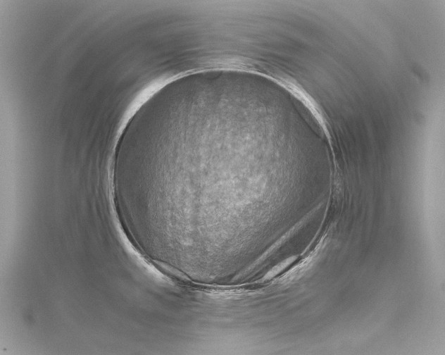 X0000115511389200911201630