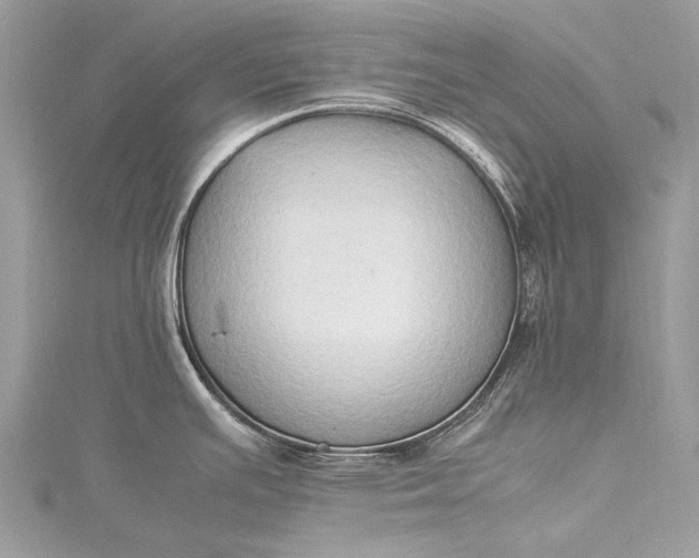 X0000115511391200911201630