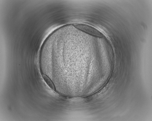 X0000115511392200911201630